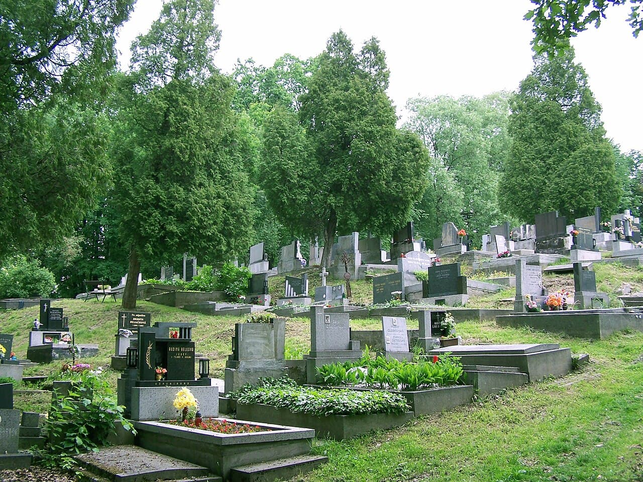 Hřbitov Horní Bludovice