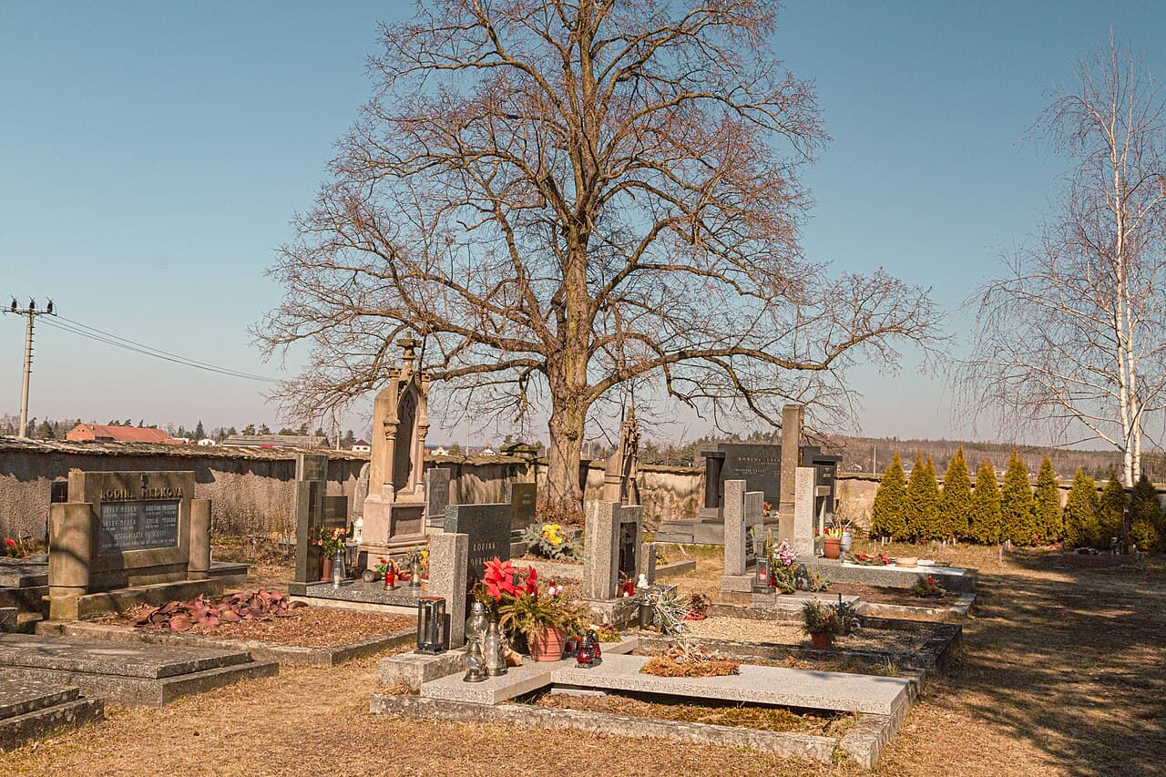 Hřbitov Svinary